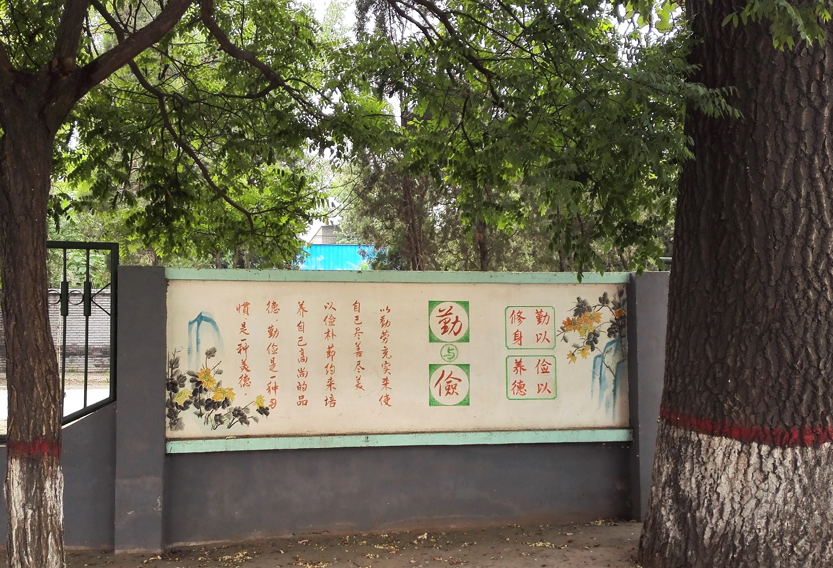 13.校園文化，根深葉茂.jpg